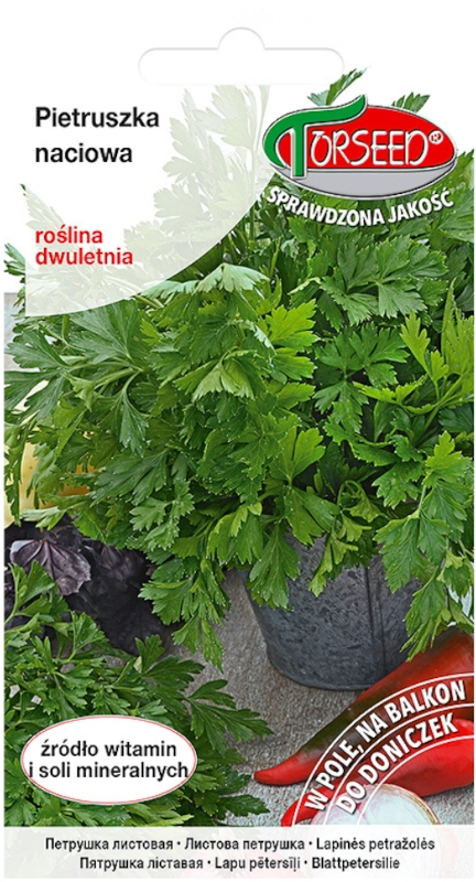 Torseed sałata masłowa głowiasta Zina nasiona 2 sklep rajogrodnika